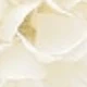 blanco lechoso