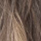 Brown Ombre