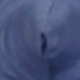 Upright Shark