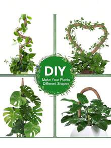 Que que đỡ cây tự làm, que rêu xếp chồng được, que rêu mềm, dây leo uốn lượn tự do, dùng để đỡ cây, cây lớn, cây leo, cây trong nhà, hoa và cây trồng trong chậu, trang trí mùa xuân. - Nhiều màu - Xem 7