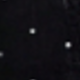 الأسود