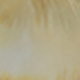 彩色