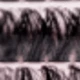 màu đen
