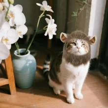 Lion Mane Wig For Cat Dog Costume Pet Adjustable Lion Hair Funny Cat Clothes Wigs Cosplay Wigs For Women Wig Install Kit For Halloween Christmas Easter Party - Small - 查看 5