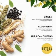 Mullein Herbal Tea Bags With Thyme, Elderberry, Ginseng & Ginger | Caffeine-Free Botanical Blend, 15 Count - 2 - Xem 6