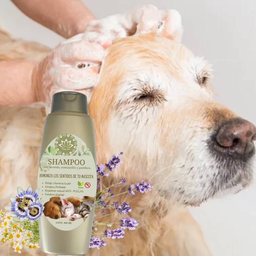 Shampoo Orgánico para mascotas relajante 300 Ml (Champú) Deja pelo suave y limpio - 300ml - Ver 1
