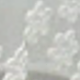 trắng