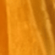 trái cam