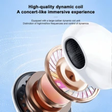 兼容的有线耳机，USB-C舒适入耳式耳机，Type-C音频耳机，3.5mm插孔HiFi立体声入耳式有线耳机，带麦克风和通话控制器，降噪，兼容 17/16/16 Plus/16 Pro/16 Pro Max、 15/14/13-6系列、Galaxy S24/S23/S22，支持CarPlay，兼容iPad、PC，像素灰