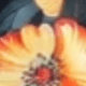 màu đen