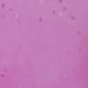 Màu tím chuyển sắc anh đào
