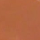 trái cam