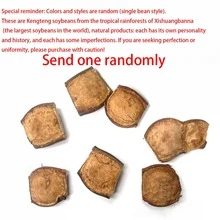 Handmade Dry Flower Craft Material - Tropical Legume Pods From Xishuangbanna - Multicolor - View 8