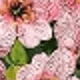 Pink.