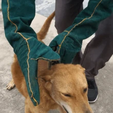 1 Pair Durable Dog Training & Bathing Gloves, Synthetic Fiber Animal Handling Protective Gloves With Anti-Bite Design, Suitable For Pet Owners, Battery-Free - Multicolor - View 7