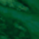 Fresh Green