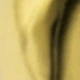 彩色