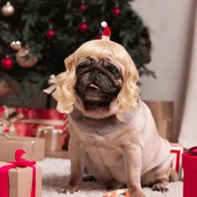 Dog Christmas Costume Dog Costume Long Blonde Curly Wigs Funny Dog Cat Wig With Red Christmas Hat For Small Medium Large Dogs Cats,Wigs Cosplay Wigs For Women Wig Install Kit Funny Pet Costumes Accessories Decoration For Halloween,Christmas - Christmas - 查看 6