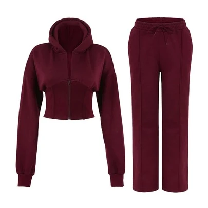 Absanoh Women Corset Fit Hoodie And Trouser 2Pc Zip Tracksuit Set 2Pc Set With Zip Front, Long Sleeves And Straight Leg Pants, Perfect For All Seasons, Top Set