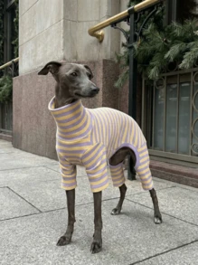 1pc Pet Autumn/Winter Fashion Classic Retro Warm And Elastic Comfortable Dog High Collar Jumpsuit