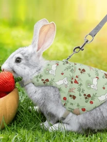 One Set Of Cute Print Series Fashion Rabbit Suit For Outing, For Rabbits Bunny Outfit With Harness & Leash - Cute Matching Outfits Suitable For Parties, Couples, Outdoor Walks - Comfortable Costume, For Lost & Training - Multicolor - View 5