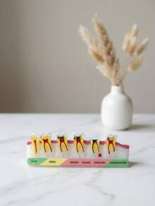 1个牙科模型展示架，牙科解剖教学工具，适用于医学教育辅助和牙科诊所装饰，包含正常、浅、中、深、晚期残余牙根和遗传牙阶段的牙科结构模型，科学教育用品，牙科教学演示模型 - 彩色 - 查看 11