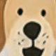 彩色