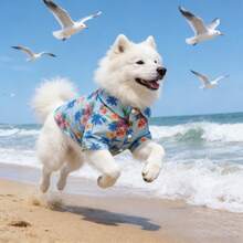 1件宠物狗/猫夏威夷衬衫，浅蓝色棕榈树和花卉印花，翻领纽扣设计，透气宠物服装，适合春夏穿着，热带印花翻领短袖沙滩风休闲装