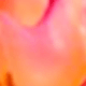 Durazno
