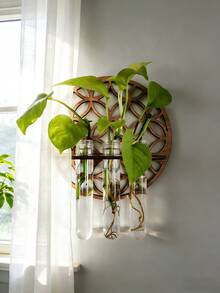 1个室内植物壁挂式种植架，植物繁殖站壁挂式，植物繁殖瓶，带木架的壁挂式繁殖站，多层塑料试管种植架，壁挂式生态瓶，适用于家庭办公室植物悬挂、花瓶、墙面装饰、水培扦插，带木架，适用于水培植物，独特的园艺用品，适合女性、母亲、植物爱好者、家居装饰、房间装饰、墙面装饰礼物、生日毕业礼物