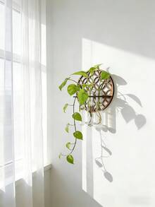 1个室内植物壁挂式种植架，植物繁殖站壁挂式，植物繁殖瓶，带木架的壁挂式繁殖站，多层塑料试管种植架，壁挂式生态瓶，适用于家庭办公室植物悬挂、花瓶、墙面装饰、水培扦插，带木架，适用于水培植物，独特的园艺用品，适合女性、母亲、植物爱好者、家居装饰、房间装饰、墙面装饰礼物、生日毕业礼物