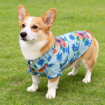 1pc Pet Dog/Cat Hawaiian Shirt, Light Blue Palm Tree & Floral Print, Collared Button-Down Design, Breathable Pet Apparel For Spring/Summer, Tropical Print Collared Short Sleeve Beach Style Casual Outfit
