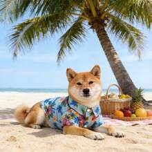 1件宠物狗/猫夏威夷衬衫，浅蓝色棕榈树和花卉印花，翻领纽扣设计，透气宠物服装，适合春夏穿着，热带印花翻领短袖沙滩风休闲装