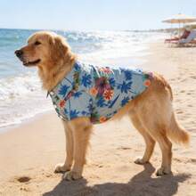 1件宠物狗/猫夏威夷衬衫，浅蓝色棕榈树和花卉印花，翻领纽扣设计，透气宠物服装，适合春夏穿着，热带印花翻领短袖沙滩风休闲装