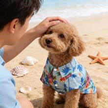 1件宠物狗/猫夏威夷衬衫，浅蓝色棕榈树和花卉印花，翻领纽扣设计，透气宠物服装，适合春夏穿着，热带印花翻领短袖沙滩风休闲装