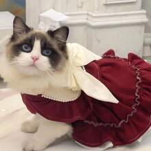 1pc Vintage Valentine's Day Bow Decor Ruffle Pearl Dress For Pets, Dog/Cat Clothes, Teddy/Poodle Dress - Red and White - View 5