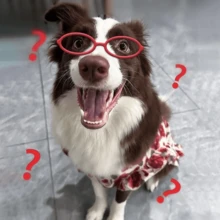 1pc Pet Summer Mesh Rose Dress, Cute Princess Style Dress For Medium/Large Dogs, Suitable For Border Collie, Golden Retriever, Samoyed, Labrador - Pink - View 10