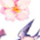 彩色