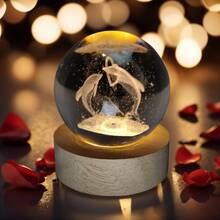 Night Lights - Multicolor - View 4