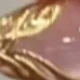 彩色