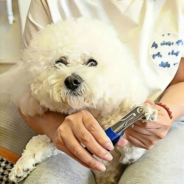 1 pieza Cortaúñas profesional para mascotas - Cortaúñas de acero inoxidable con diseño de tijera para un corte y suavizado preciso de las garras de perros y gatos - Diseño conveniente, recorte suave