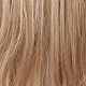 Blonde Ombre