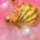 彩色