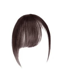 1pc/4pcs, Women's Bangs Synthetic Wigs, Natural Forehead Bangs, Retro Side Bangs, Fake Bangs, Seamless Ultra-Thin Hair Curtains, Hair Claw Clips, Hairpins, Hair Clips, Hairpins, Hair Accessories