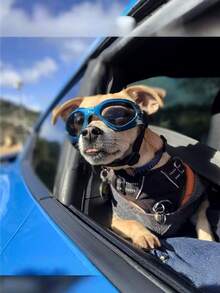 Adjustable Pet Sunglasses - Foldable, Windproof, UV Protection Dog Goggles - Multicolor - View 11