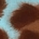 màu nâu