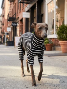 1pc Pet Autumn/Winter Fashion Classic Retro Warm And Elastic Comfortable Dog High Collar Jumpsuit