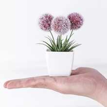 3件套仿真迷你盆栽绿植，带盆底，细节逼真，无需养护。非常适合摆放在家居、办公桌、书架上，也可作为季节性餐桌装饰，轻松为环境增添生机。 - 彩色 - 查看 5