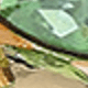 Nhiều màu