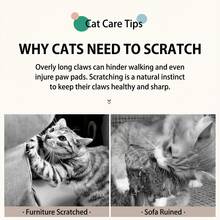 纸板猫抓板，适合送给宠物主人的礼物 - 44cm*21cm*3cm - 查看 6